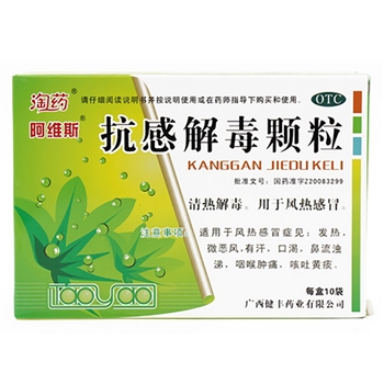 抗感解毒颗粒10g*10袋/盒