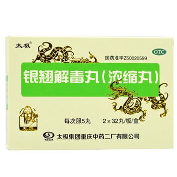 银翘解毒丸32s*2板/盒