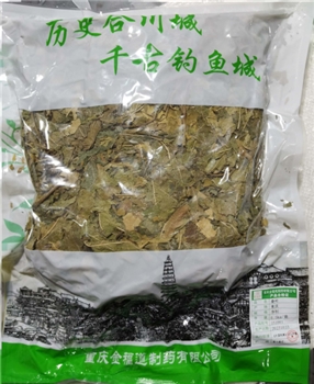 桑叶净制/0.5kg/袋